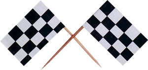 Checkered Racing Flag Pick