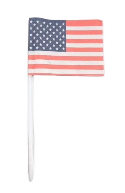 USA Flag Picks