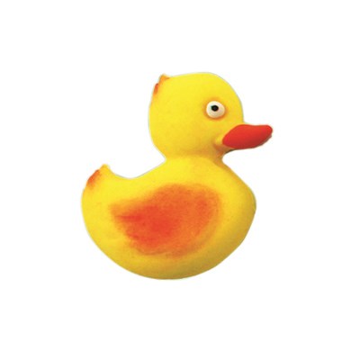 Duck Easy Pop it Mould