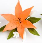 Small Assorted Sugar Flower Spray