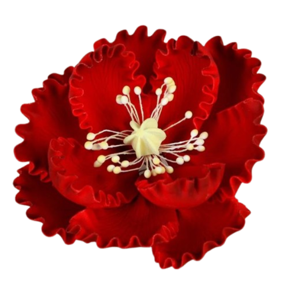 Peonies - Red