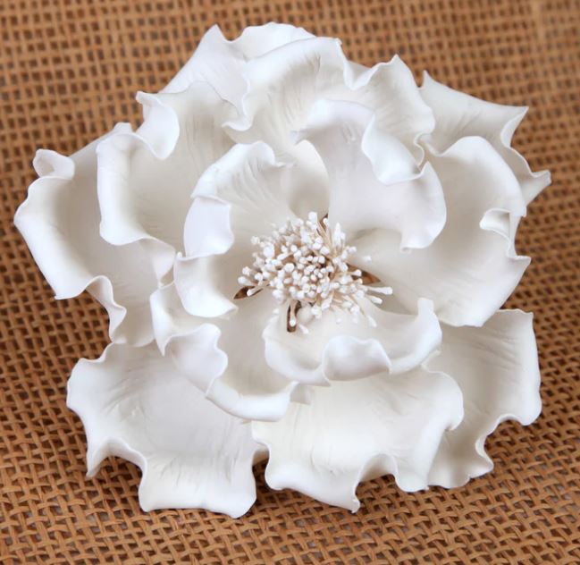 Large Peonies - White