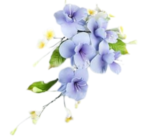 Large Combination Sprays