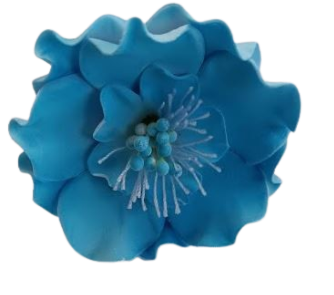 Scanbiosa Flower