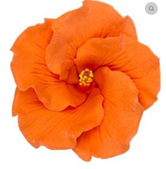 Gum Paste Flowers Large Hibiscus Orange