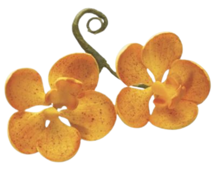 Fall Flowers Assortment Gum Paste Sprays
