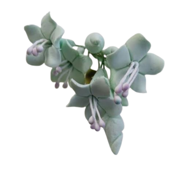 Mint Green Bell Flower