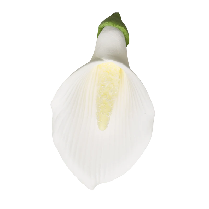 2.5" Calla Lily - Med/Lg - White
