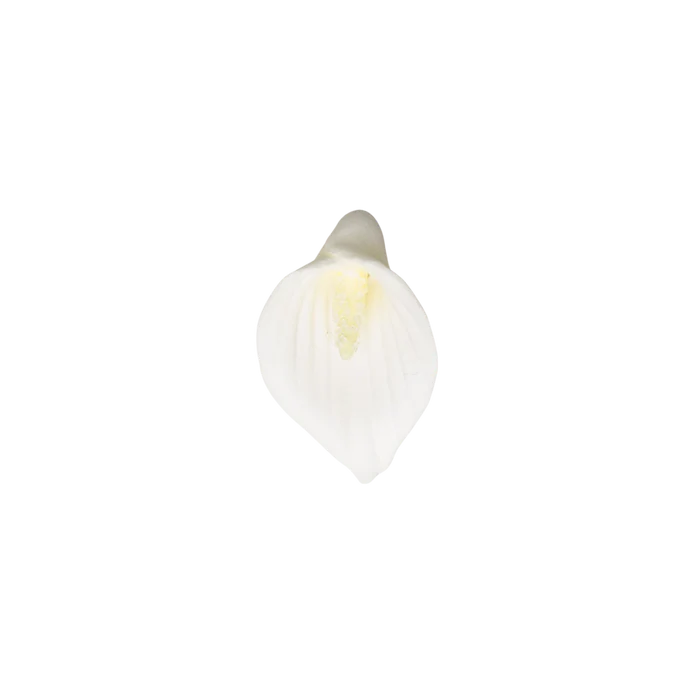 1" Calla Lily w/o Wire - Petite - White