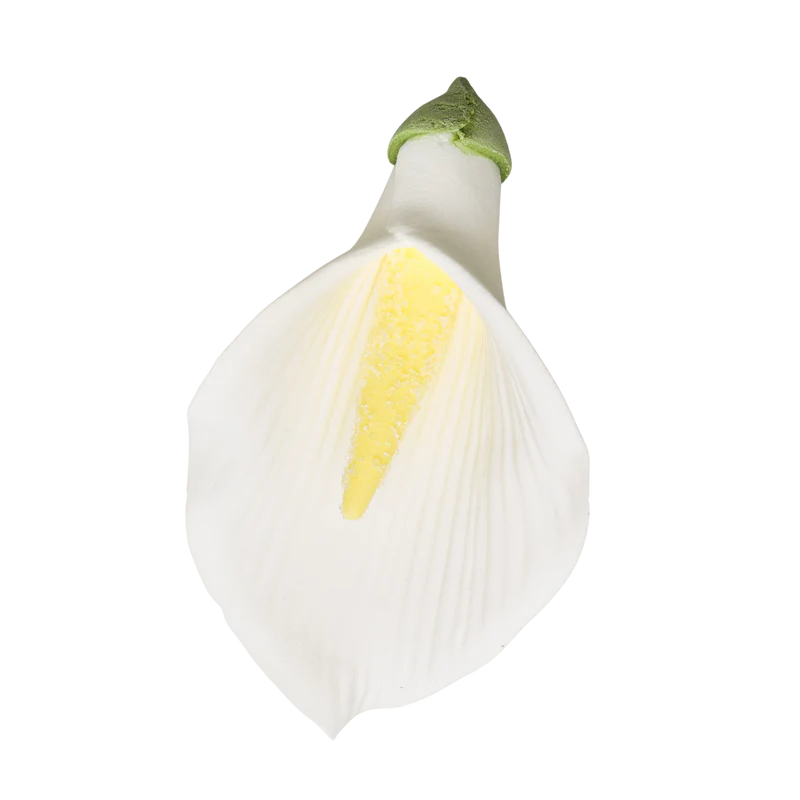 2.5" Calla Lily w/o Wire - Med/Lg - White