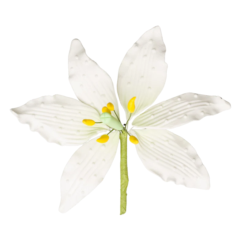 4.5" Casa Blanca Lily - Large - White