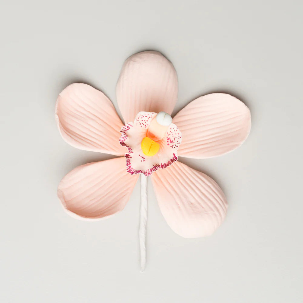 3.5" Cymbidium Orchid - Large - Peach