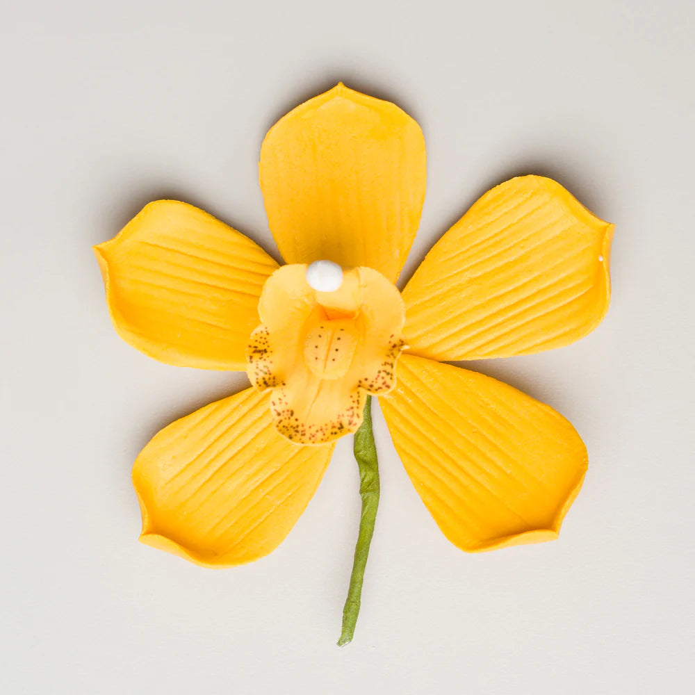 3.5" Cymbidium Orchid - Large - Artful Magic Yellow