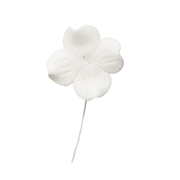 1.5" Dogwood - All White