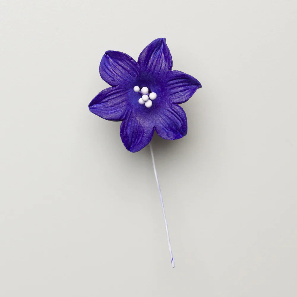 1.5" Blue Bells - Deep Purple