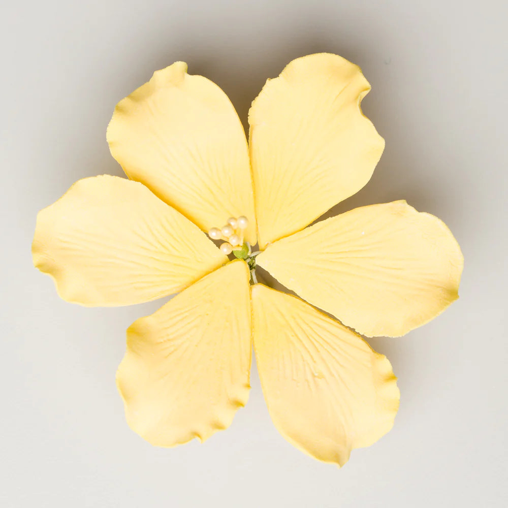 3.5" Gladiola - Large - Yellow
