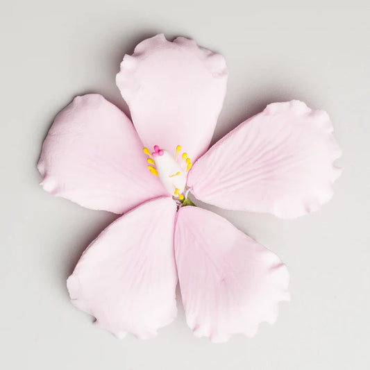 3.5" Hibiscus - Medium - Pink
