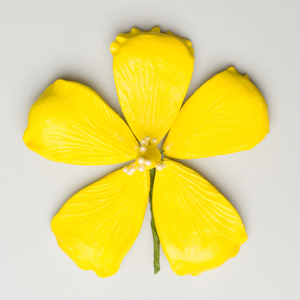 3.5" Hibiscus - Lemon Yellow