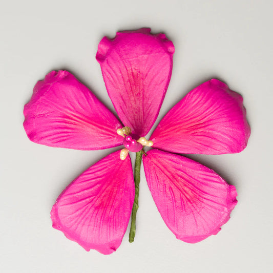3.5" Hibiscus - Hot Pink