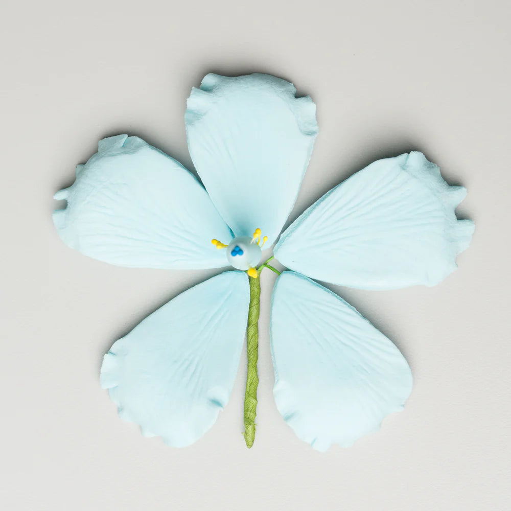 3.5" Hibiscus - Scuba Blue