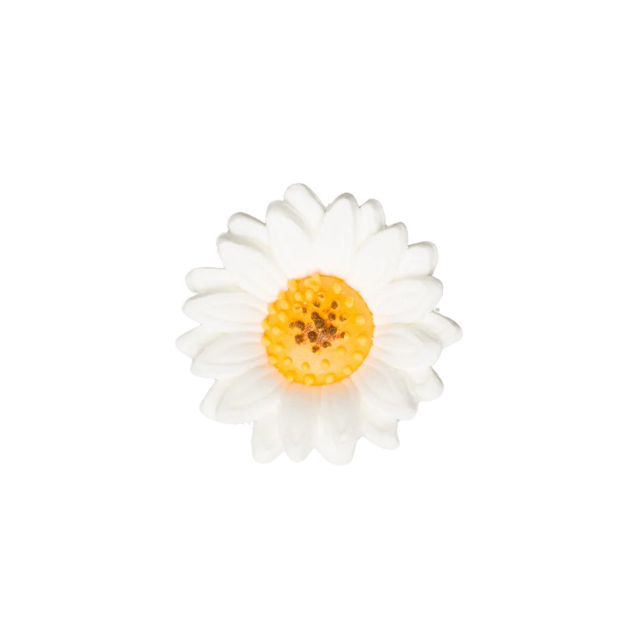 1.5" Shasta Daisy - White