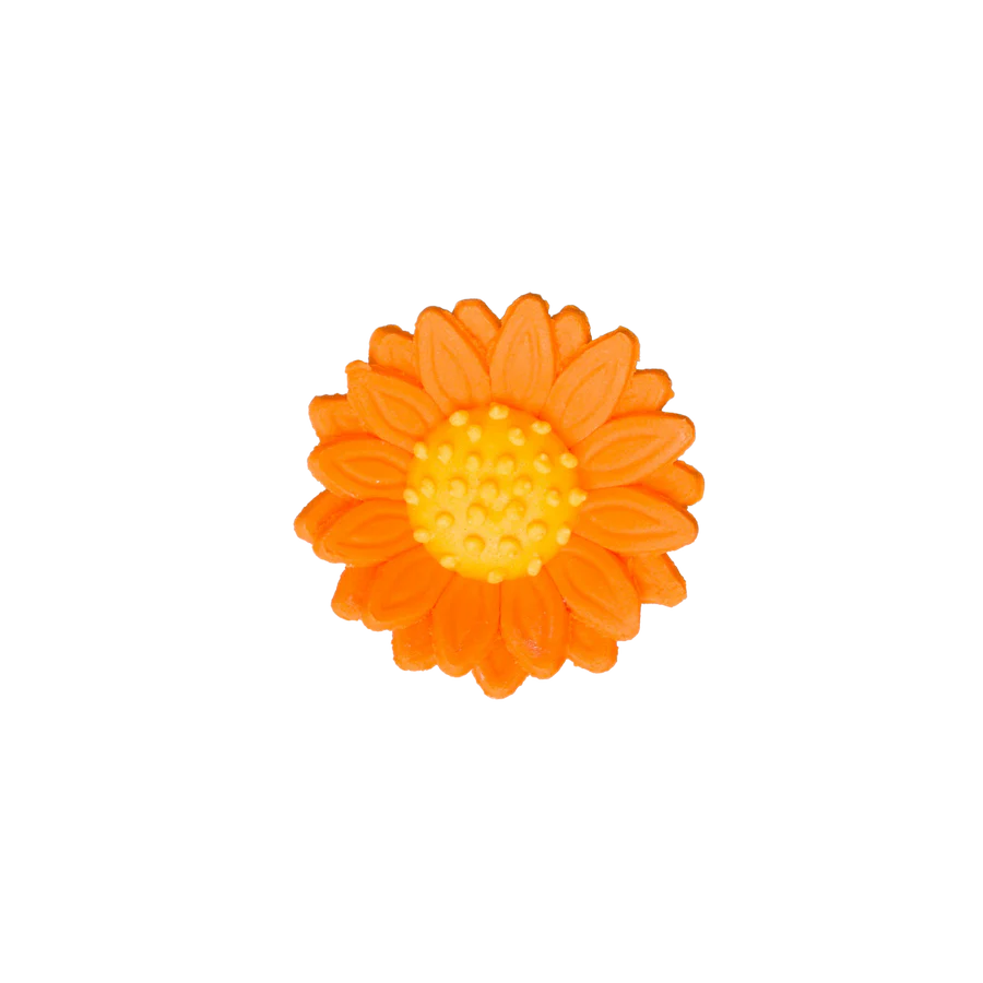 1.5" Shasta Daisy - Orange