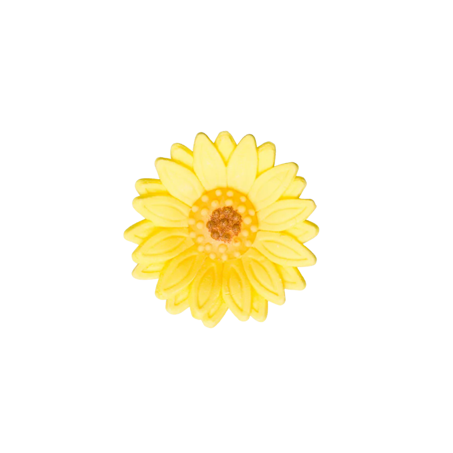 1.5" Shasta Daisy - Yellow
