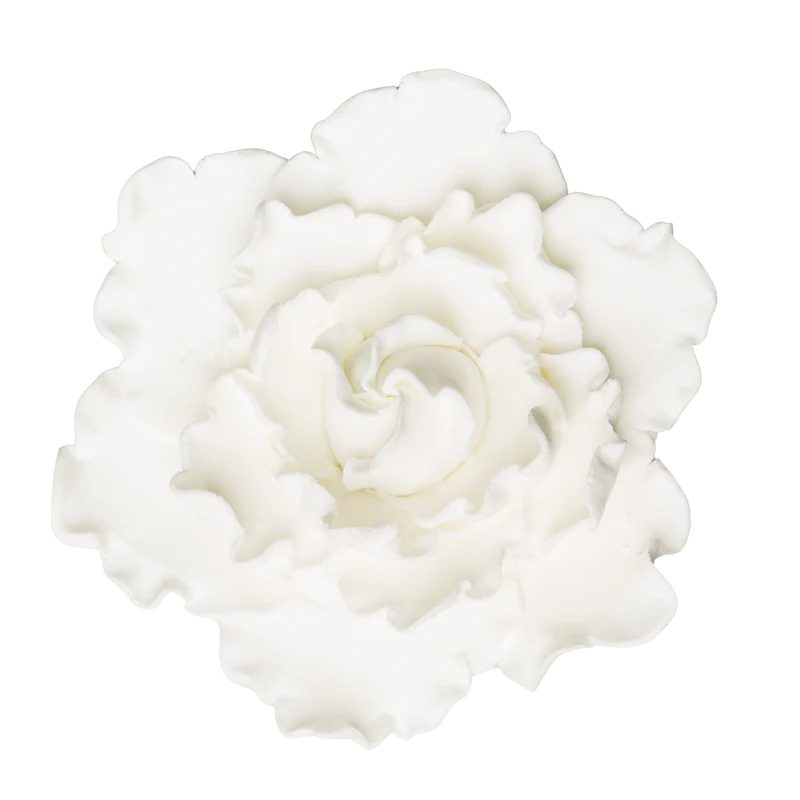 4.5" Closed Peony - Large - White
