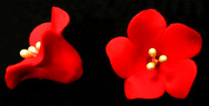 Fruit Blossom Red