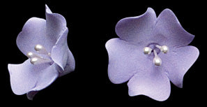 Fruit Blossom Lavender