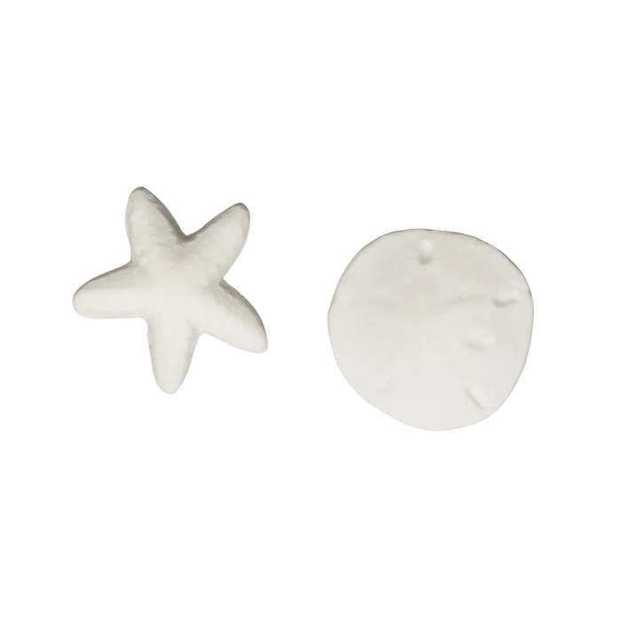 Seashell Assortment