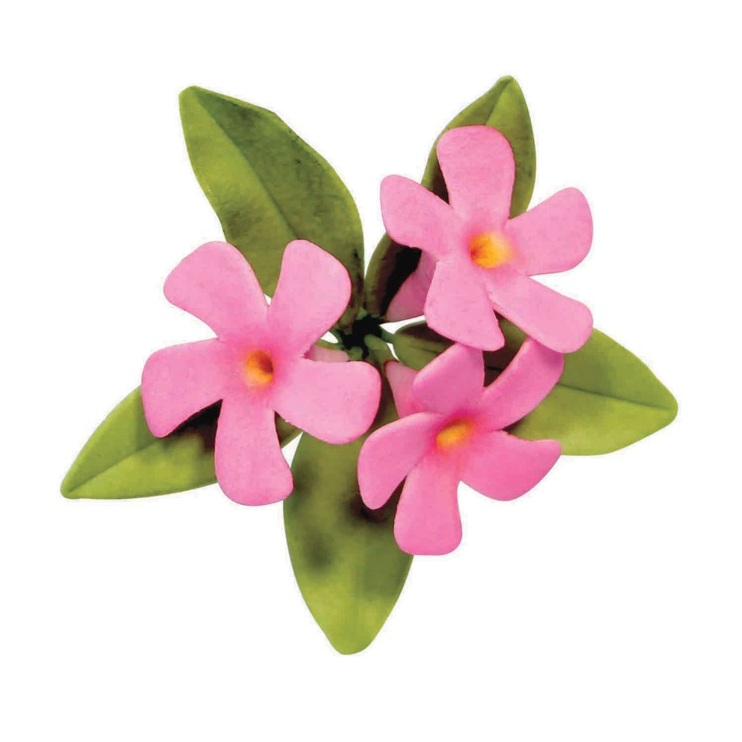 Lesser Periwinkle Cutter