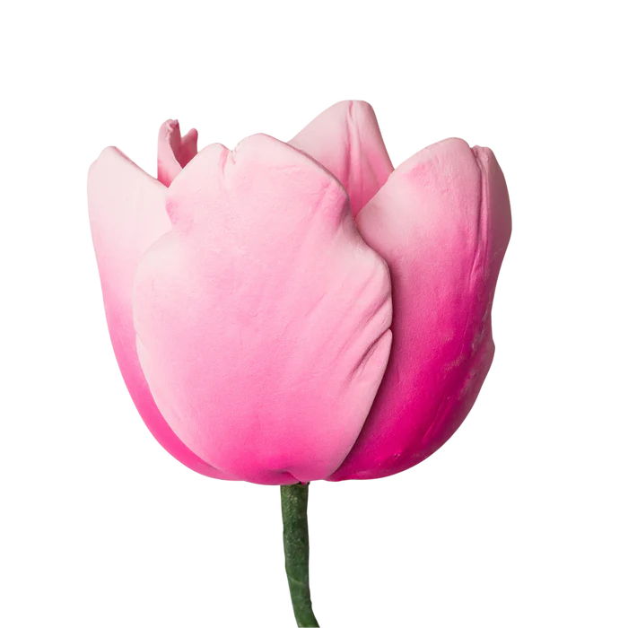 2" French Tulip - Pink