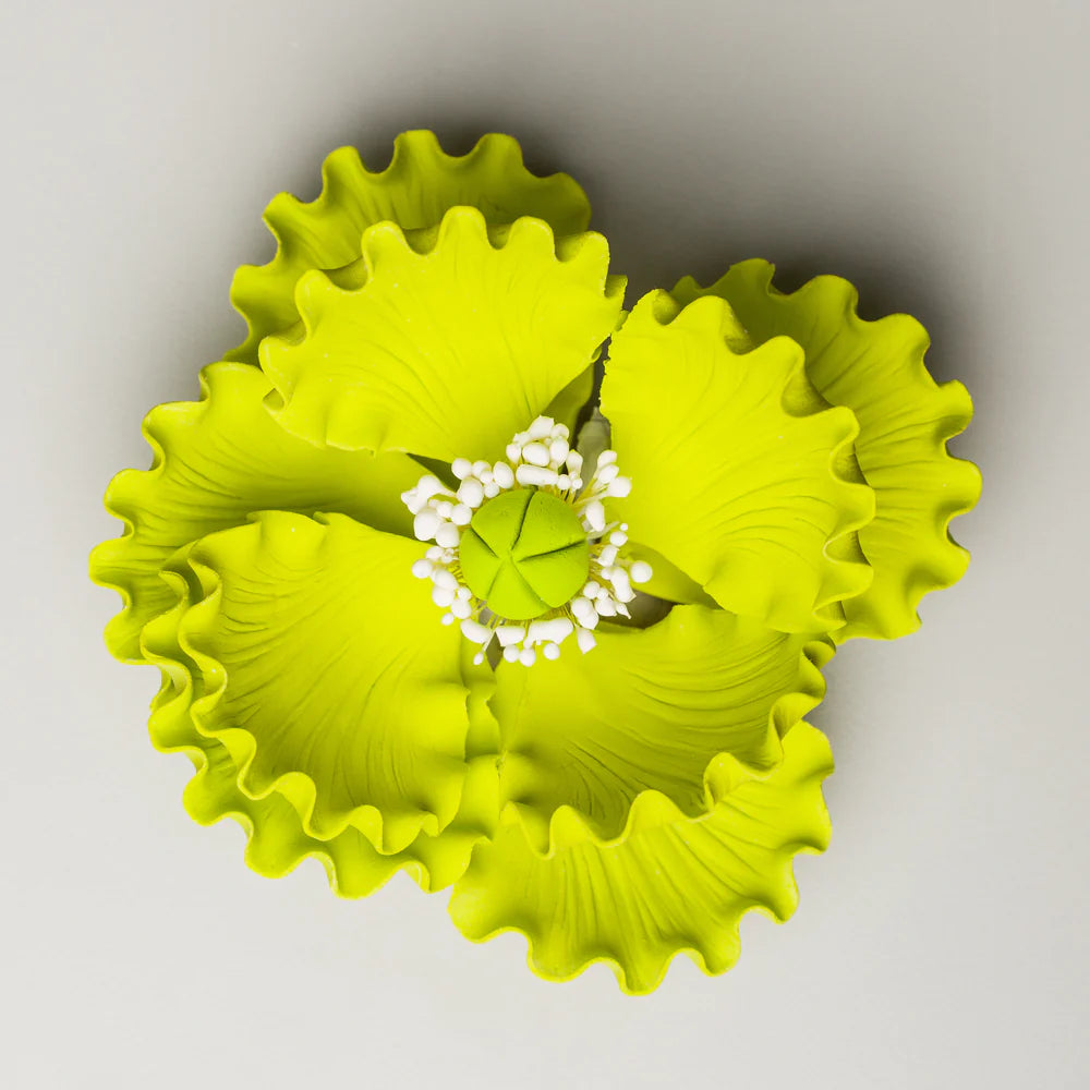 4" Summer Poppy - Green