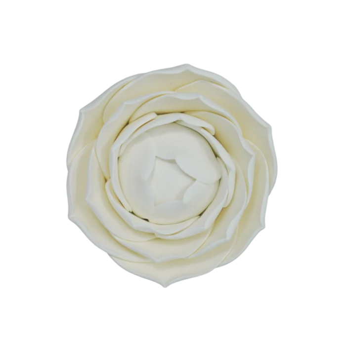 Camellia lace White 3''