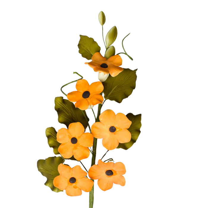 9" Black Eyed Susan - Orange