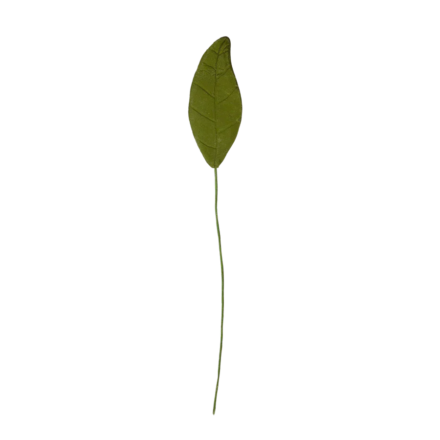 1.5" Magnolia Leaf Single - Green