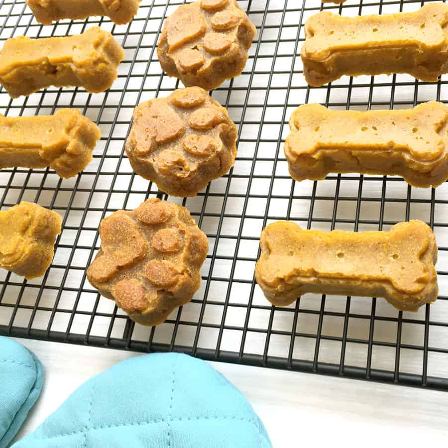 Paw Print Pet Treat Silicone Mold