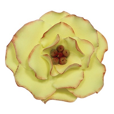 Briar Rose Cutter