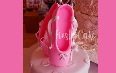 Ballet Shoes Lg
