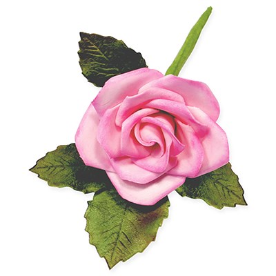 5 Petal Cutter Large