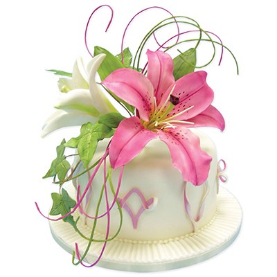 Veined Lily Plunger Cutter Set Medium