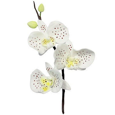 Moth Orchid Flower Petal Set Of 3