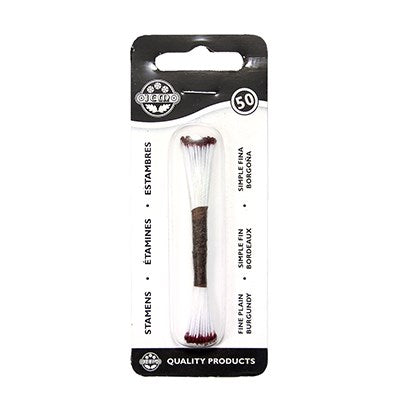 Plain Stamen - Burgundy