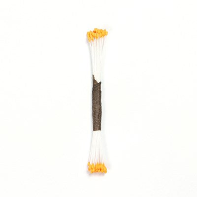 Plain Stamen - Peach
