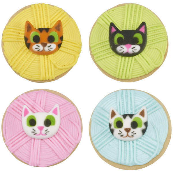 Kitty Assortment