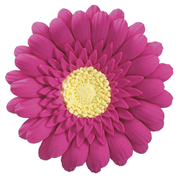 Hot Pink Gerbera Daisy