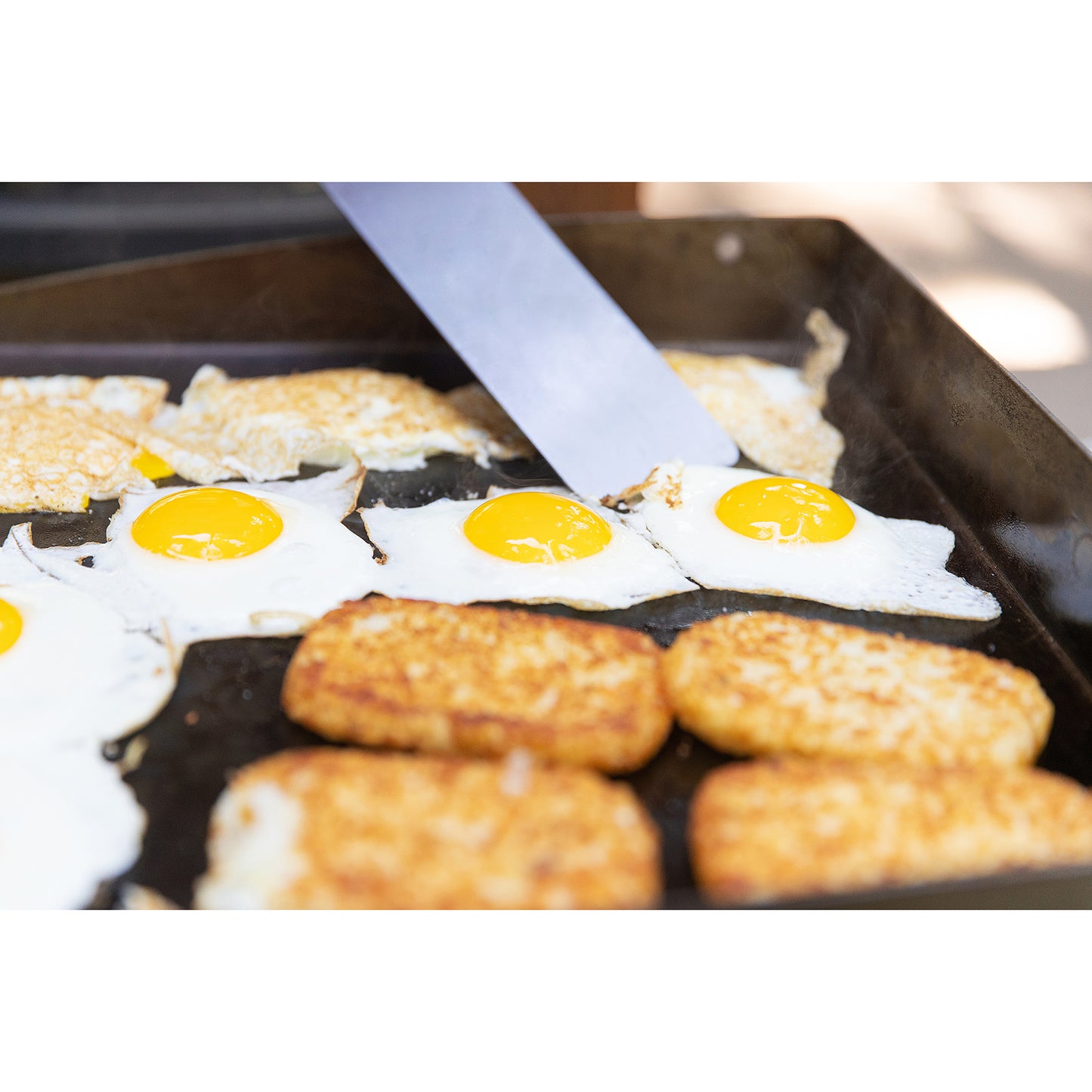 Griddle Spatula