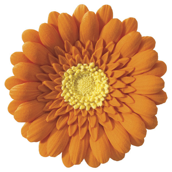 Orange Gerbera Daisy