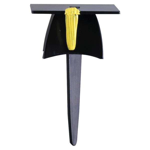 3D Grad Hat Cupcake Picks